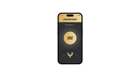 Охоронний холдинг, фото 3