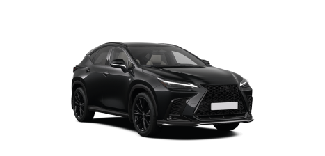 Охоронний холдинг, фото 5