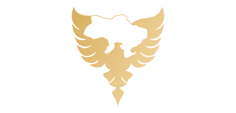 Супутниковий моніторинг — Охоронний холдинг, фото 3